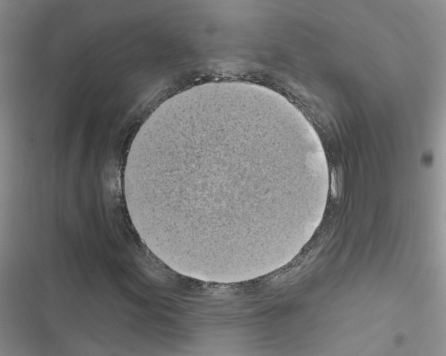 X0000116631155201001221355