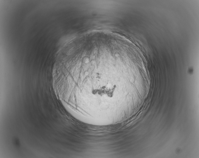 X0000116631156201001221355