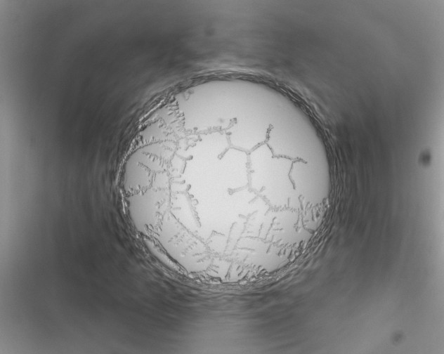 X0000116631157201001221355