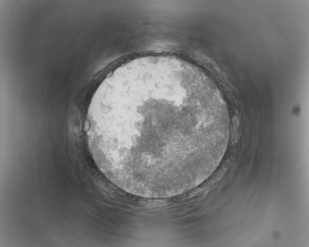 X0000116631158201001221355