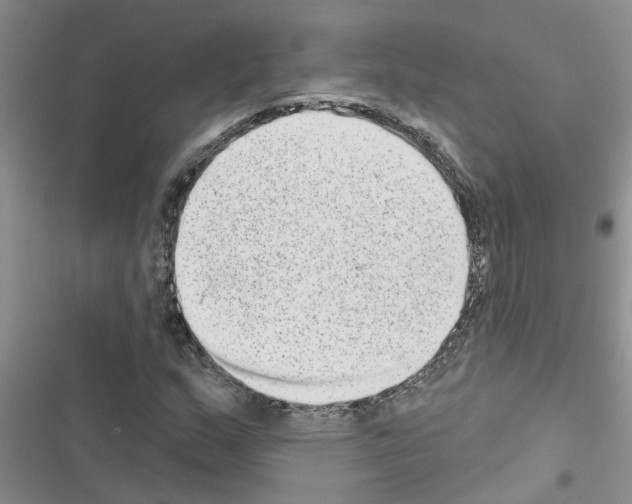 X0000116631159201001221355