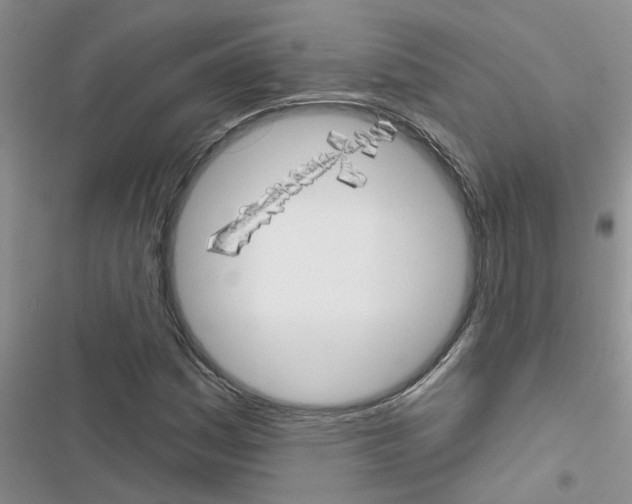 X0000116631161201001221355