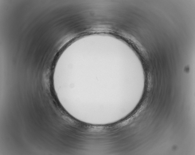 X0000116631162201001221354
