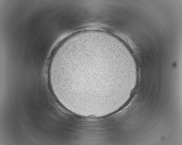 X0000116631164201001221354