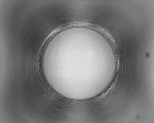 X0000116631165201001221354