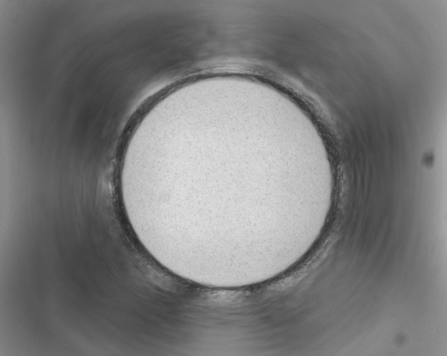 X0000116631166201001221354