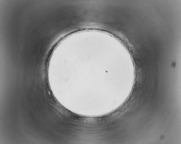 X0000116631167201001221354