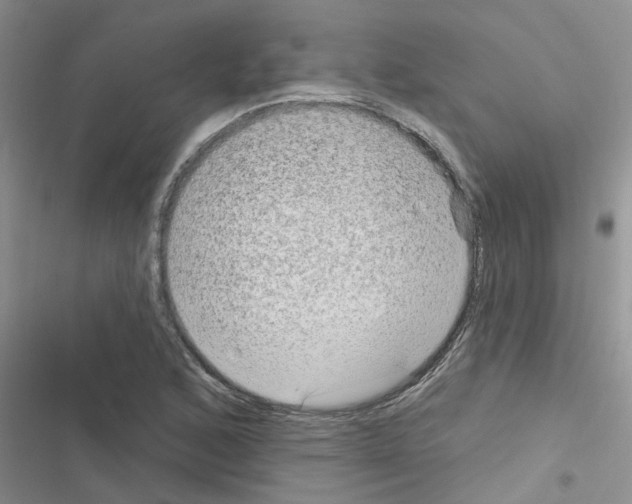 X0000116631168201001221354