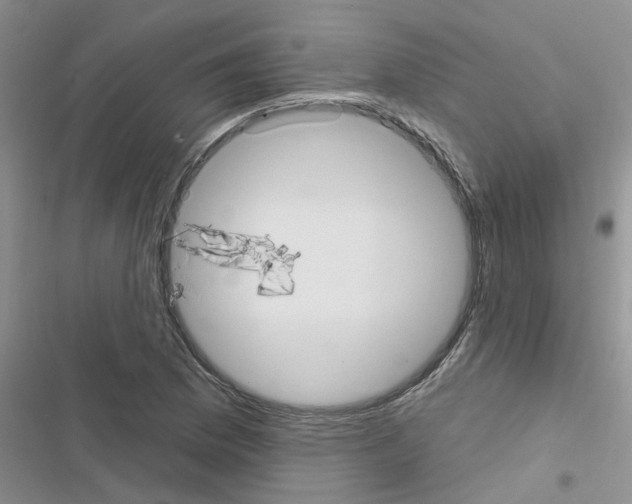 X0000116631169201001221354