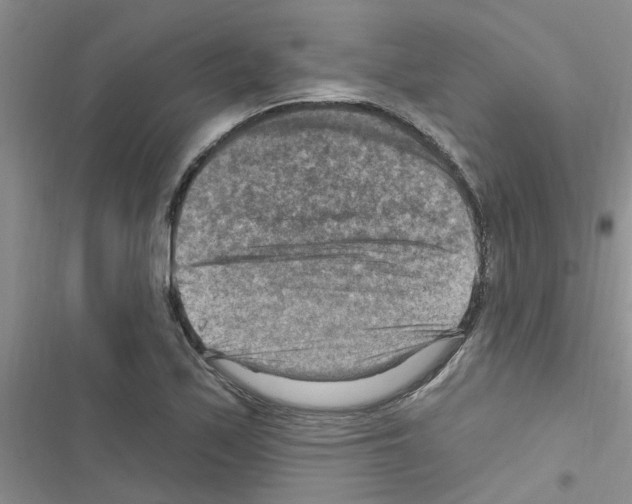 X0000116631171201001221354