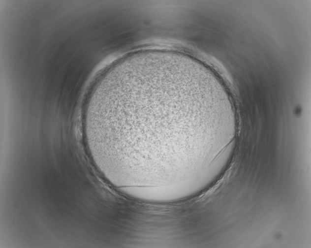 X0000116631172201001221354
