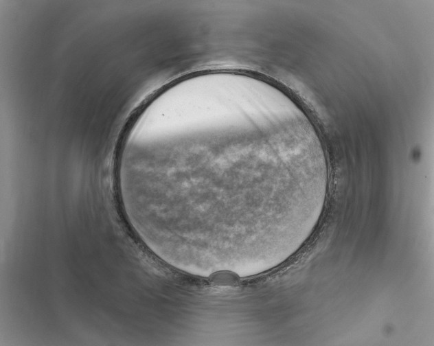 X0000116631173201001221354