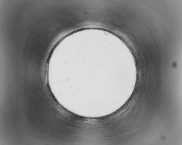 X0000116631175201001221354