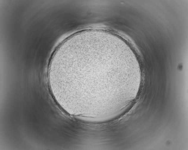 X0000116631176201001221354