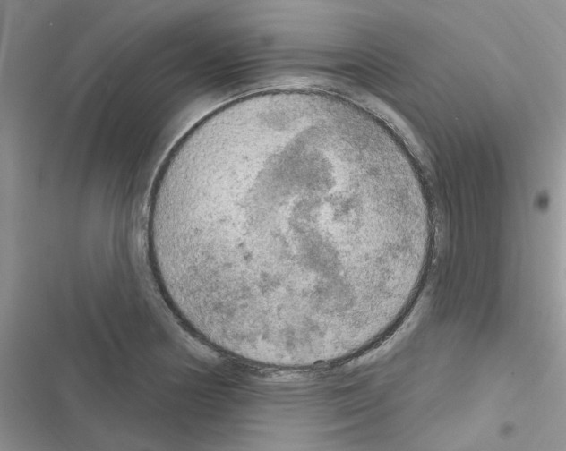 X0000116631178201001221354