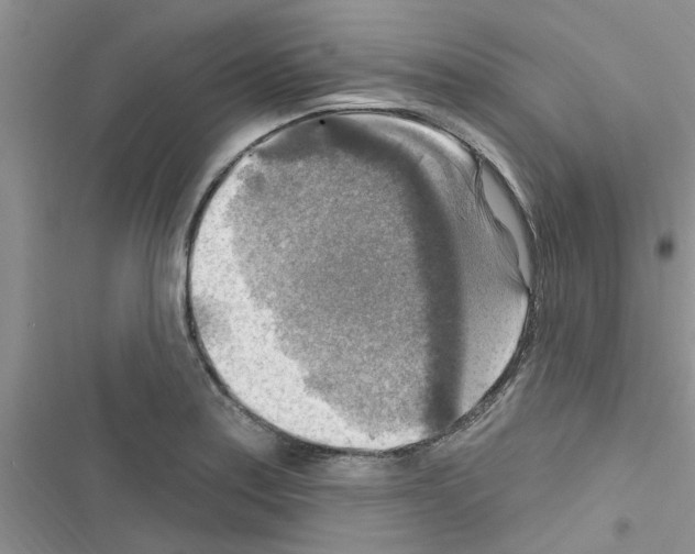 X0000116631179201001221354