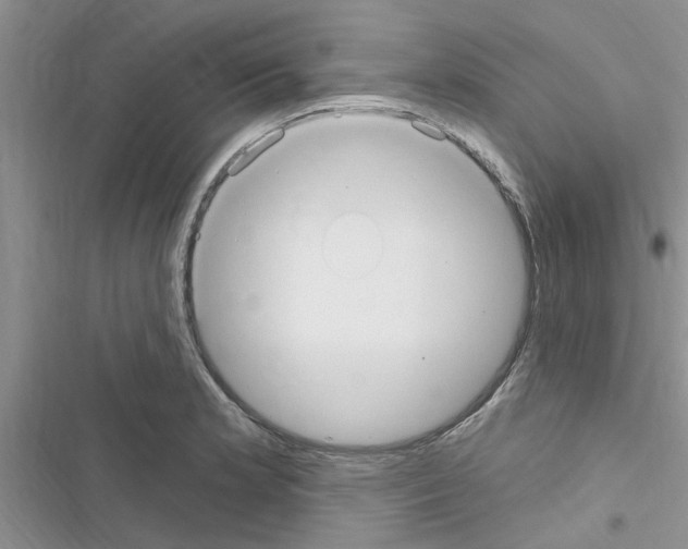 X0000116631181201001221354