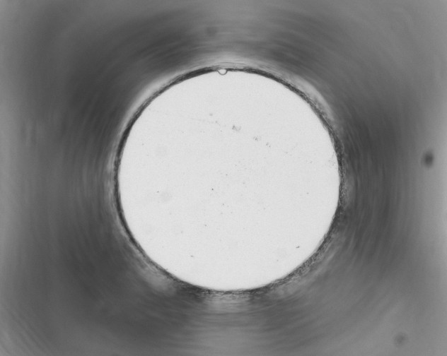 X0000116631183201001221354