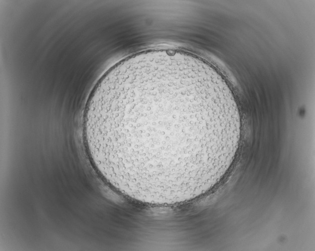 X0000116631186201001221354