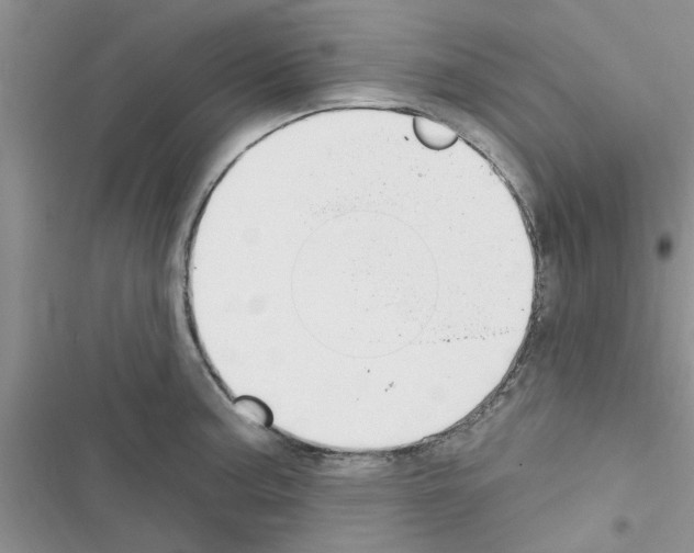 X0000116631187201001221354
