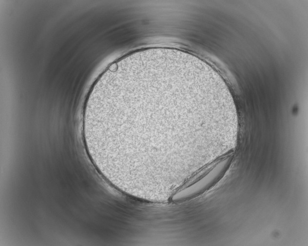 X0000116631188201001221354