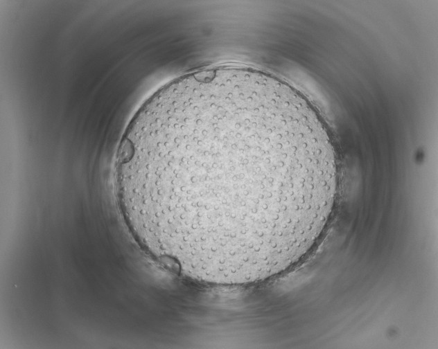 X0000116631190201001221354