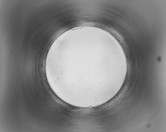 X0000116631193201001221354