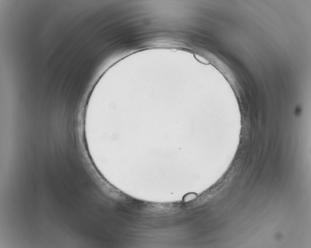 X0000116631195201001221354