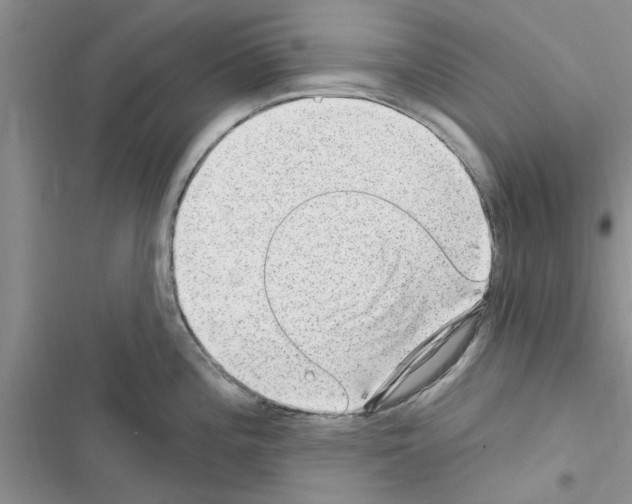 X0000116631196201001221354