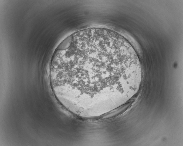 X0000116631198201001221354