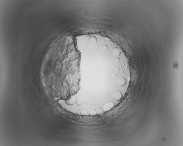 X0000116631201201001221353