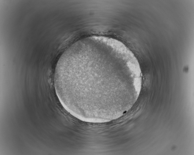 X0000116631202201001221353