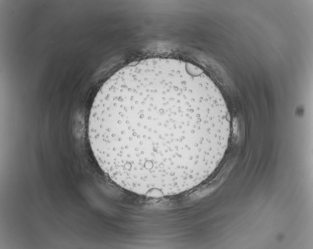 X0000116631203201001221353