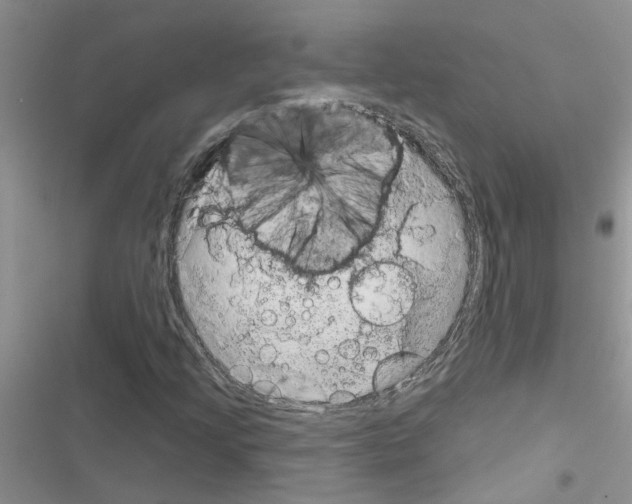 X0000116631205201001221353