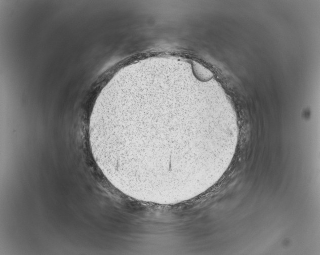 X0000116631206201001221353