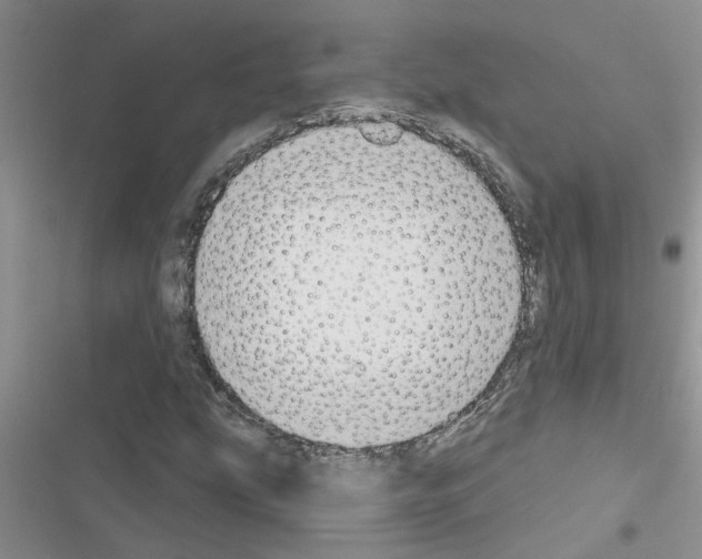 X0000116631207201001221353