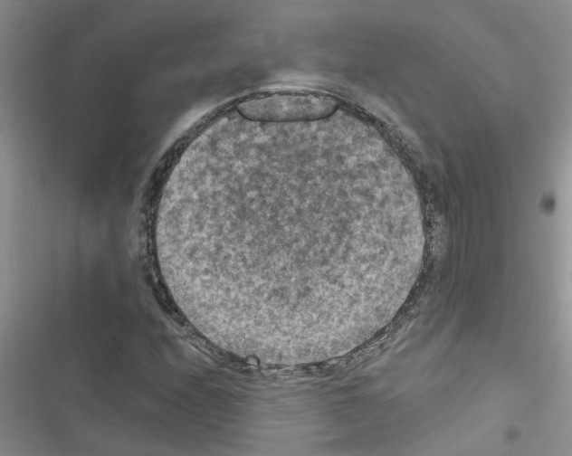 X0000116631208201001221353