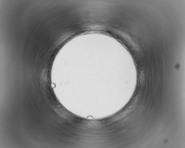 X0000116631209201001221353