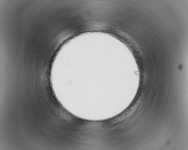 X0000116631210201001221353