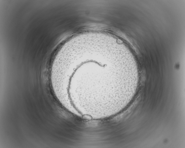 X0000116631211201001221353