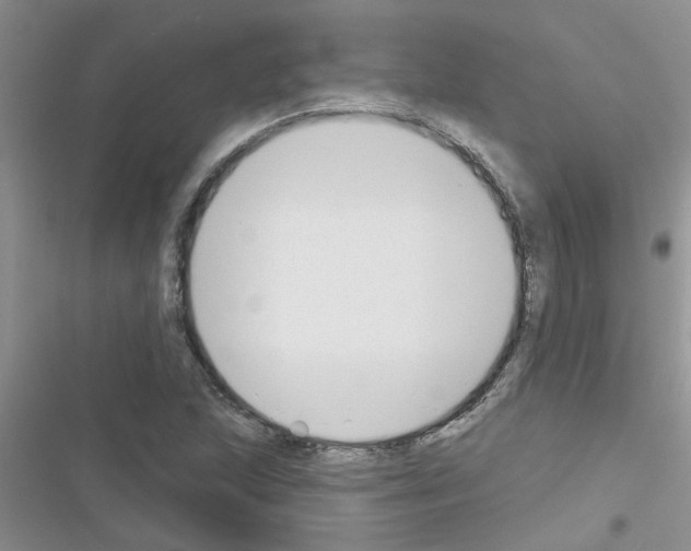 X0000116631215201001221354