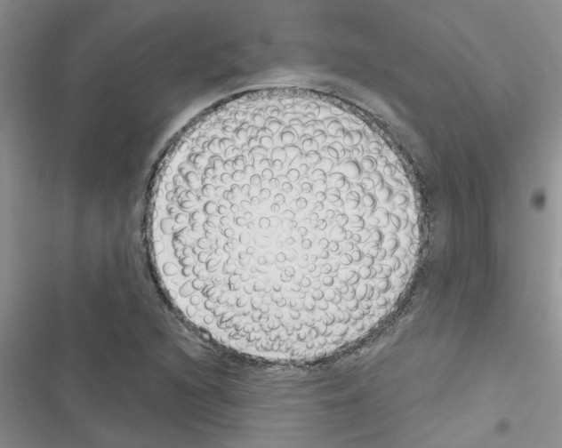 X0000116631216201001221354