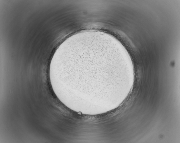 X0000116631217201001221354