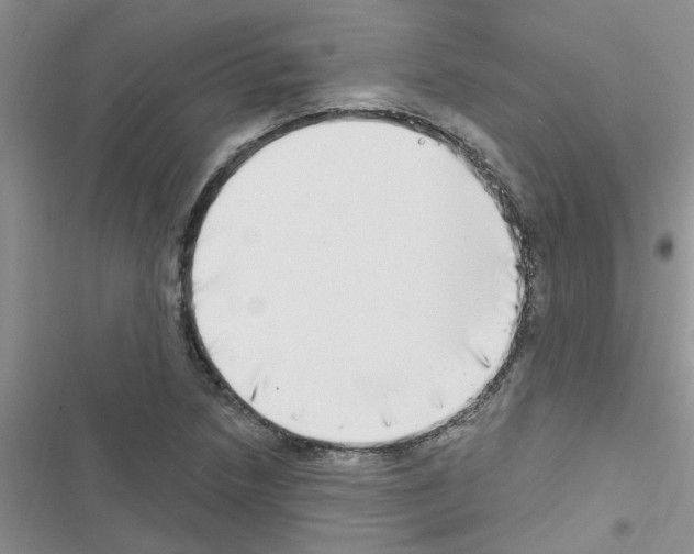 X0000116631218201001221354