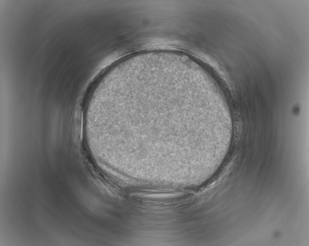 X0000116631219201001221354