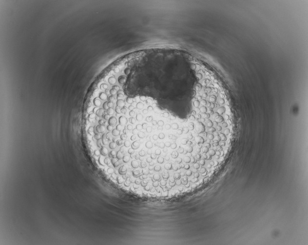 X0000116631220201001221354