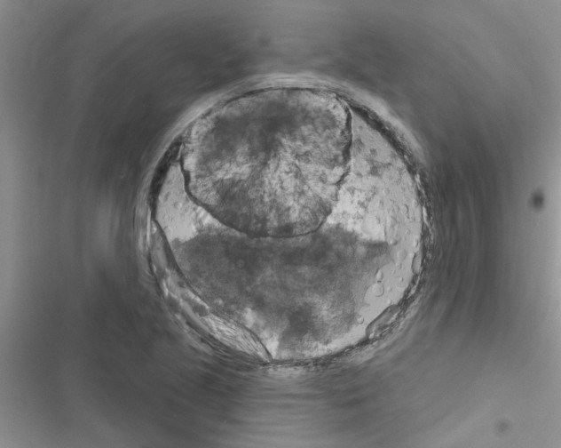 X0000116631221201001221354