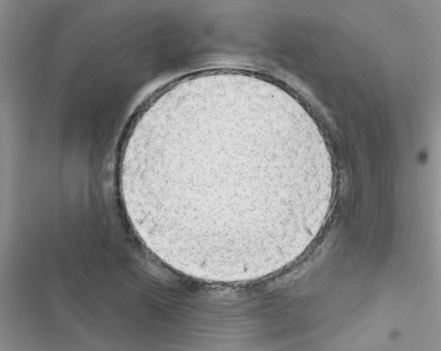 X0000116631222201001221354