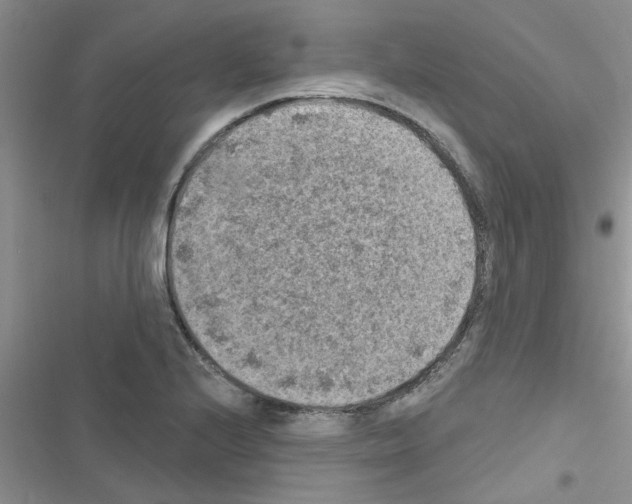 X0000116631224201001221354