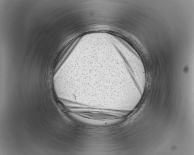 X0000116631225201001221354